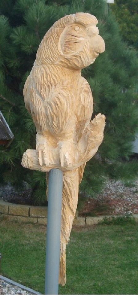 Socha papouška - dřevosochání motorovou pilou